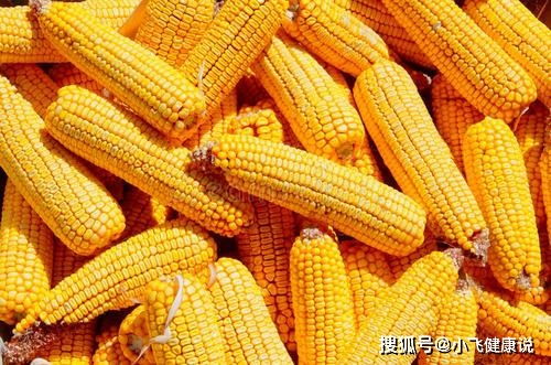玉米面是粗糧還是細糧？營養師提醒 糖尿病人吃玉米面，別犯三個錯