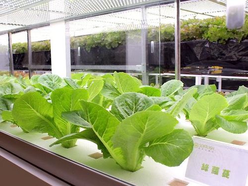 2021年LED市場產值增長至165.31億美元 機遇與挑戰并存的產業前景