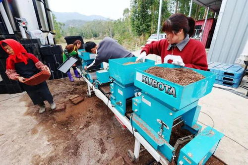 守好“飯碗田”，穩住“米袋子”——南安市多措并舉提升糧油倉儲服務水平