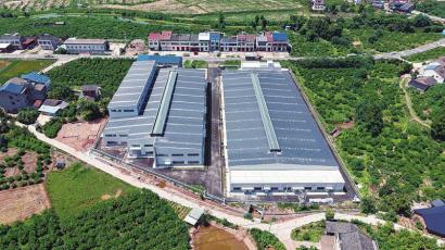 農業“四中心”投用，精準服務萬畝糧田，筑牢糧油倉儲服務新基石